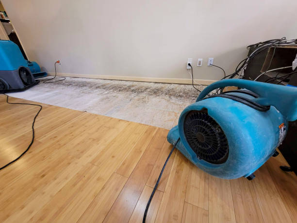 Professional Ceiling Water Damage Repair technician working in Buzzards Bay, MA